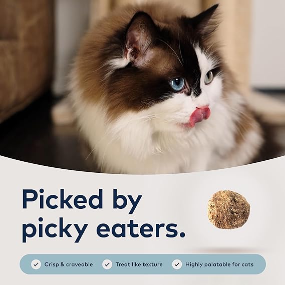 Bundle of Ziwi Peak Steam & Dried Cat Food (Beef, Chicken and South Pacific Fish Recipes)