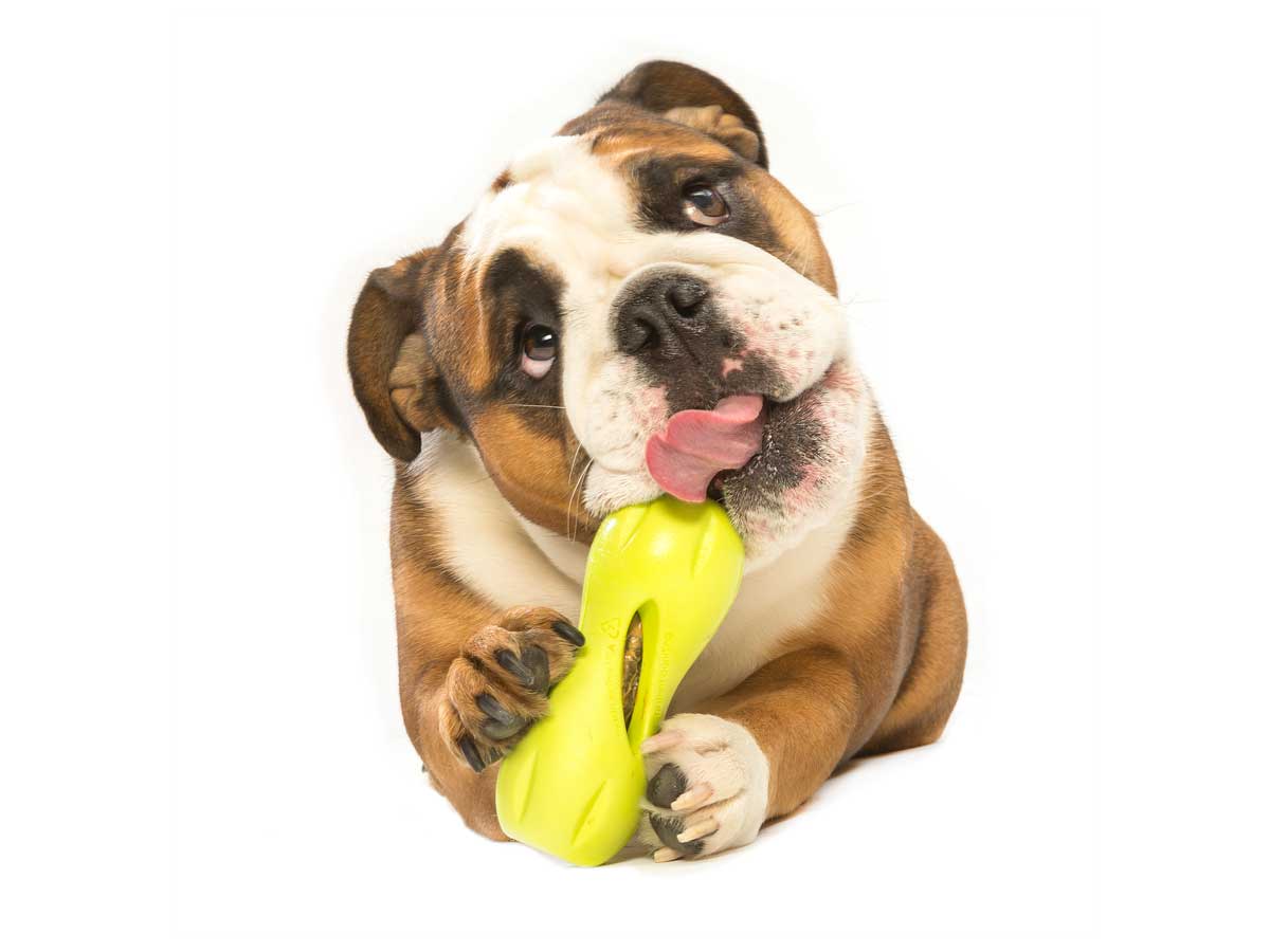 QWIZL_GRANNY SMITH_BIRDIE_LICKING