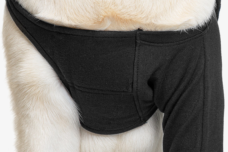 SUITICAL_FEATURES_RECOVERY SLEEVE DOG_BLACK_02_2020_V01