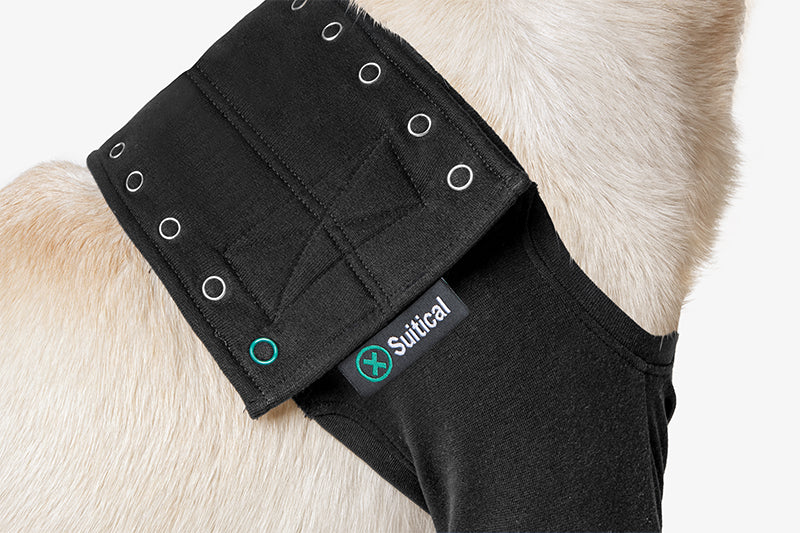 SUITICAL_FEATURES_RECOVERY SLEEVE DOG_BLACK_03_2020_V01