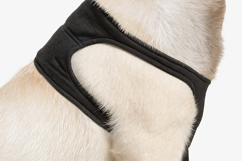 SUITICAL_FEATURES_RECOVERY SLEEVE DOG_BLACK_04_2020_V01