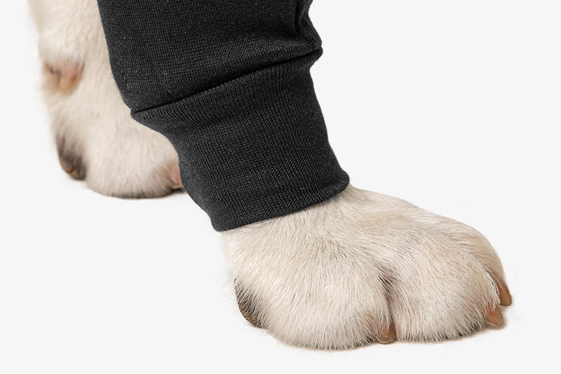 SUITICAL_FEATURES_RECOVERY SLEEVE DOG_BLACK_05_2020_V01