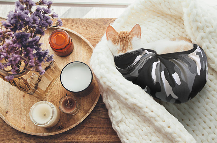 SUITICAL_LIFESTYLE_RECOVERY SUIT CAT_02_2020_V01