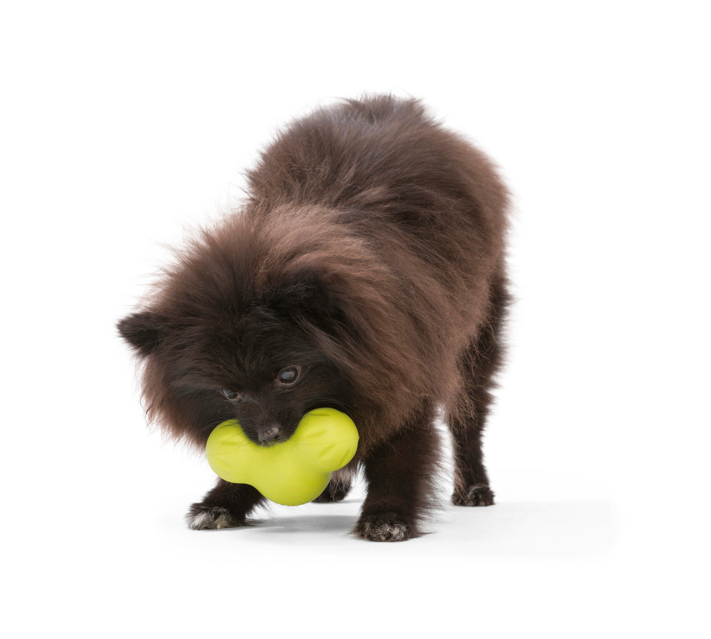 TUX_GRANNY SMITH_ZIGGY