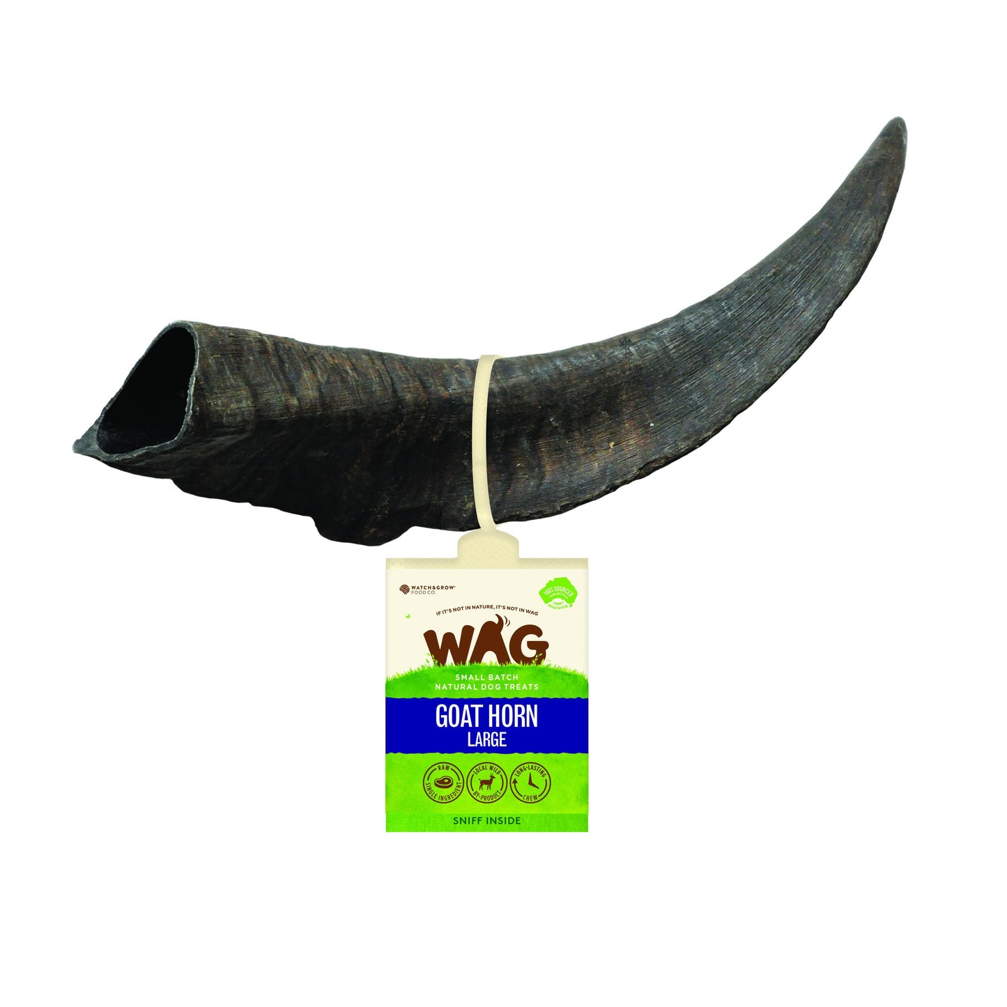 goat-horn-large-1