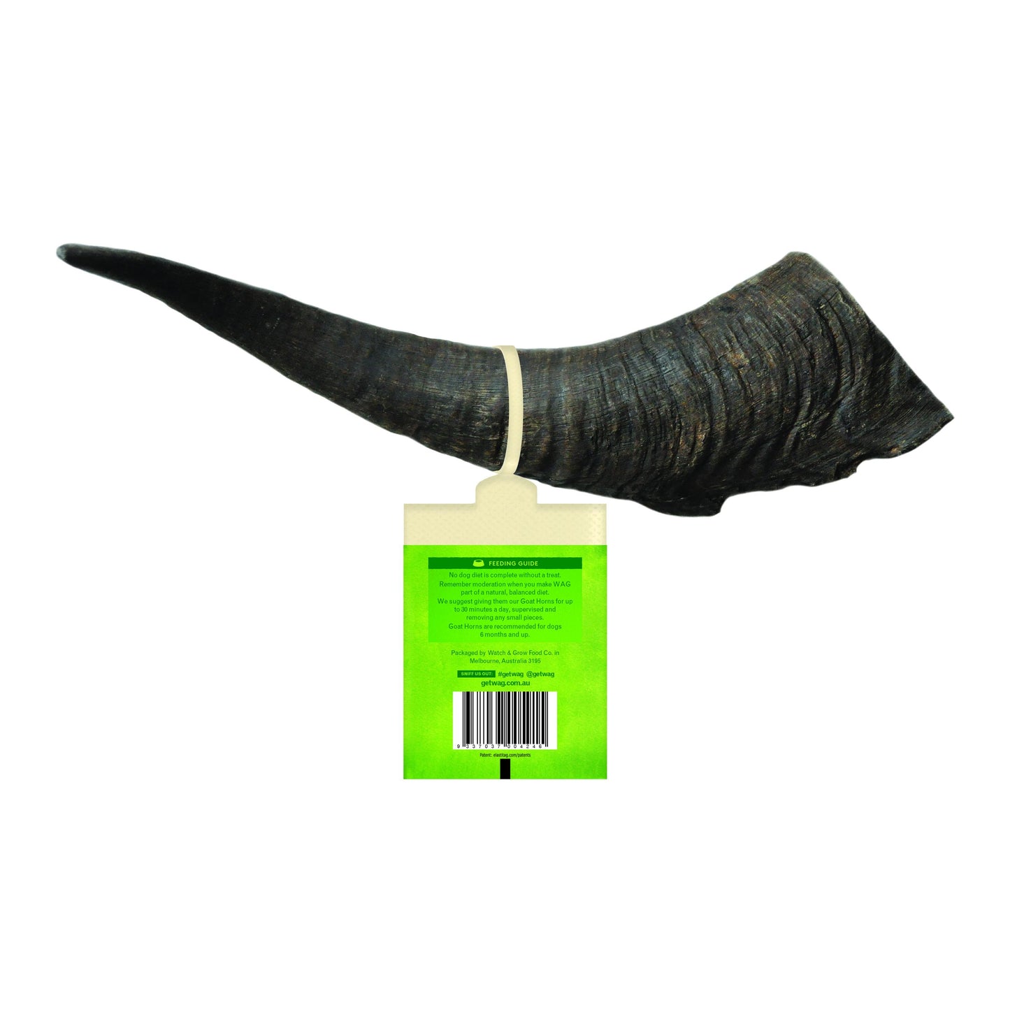 goat-horn-large-2