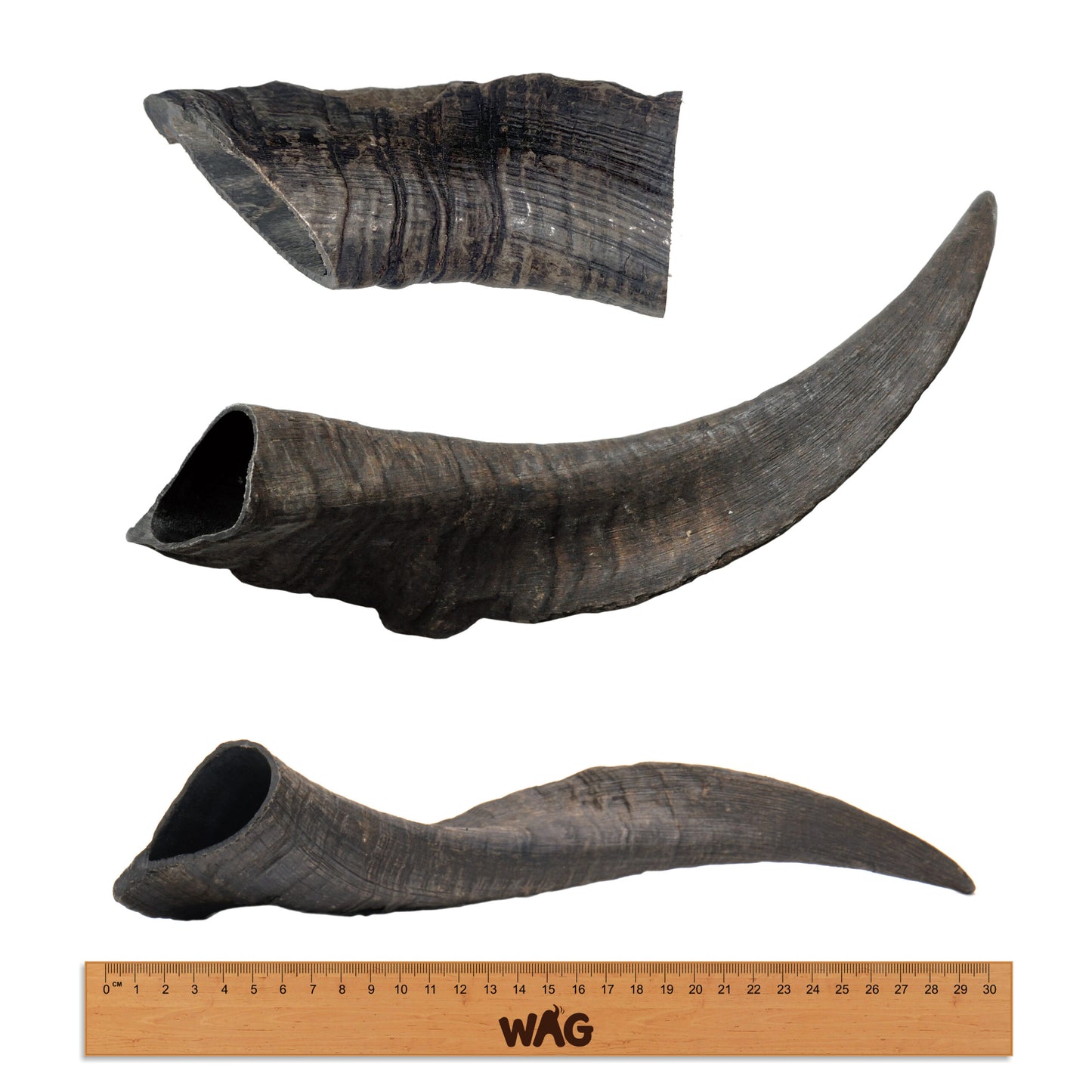 goat-horn-large