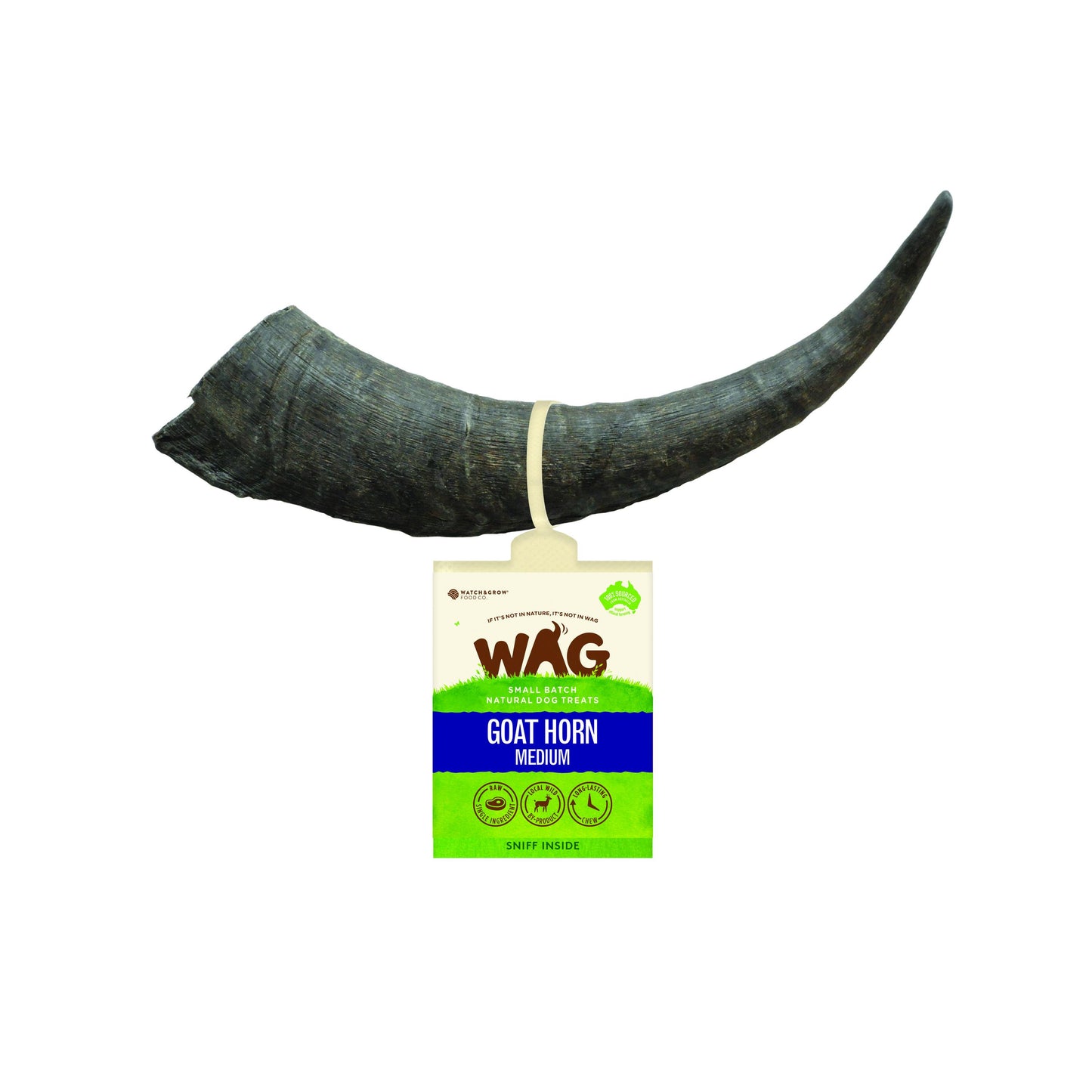 goat-horn-medium-1