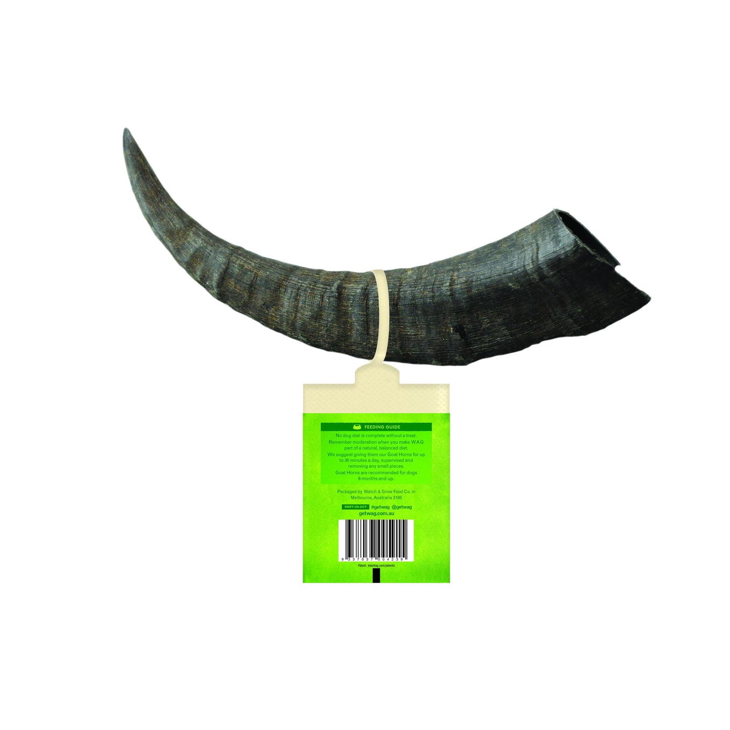 goat-horn-medium-2