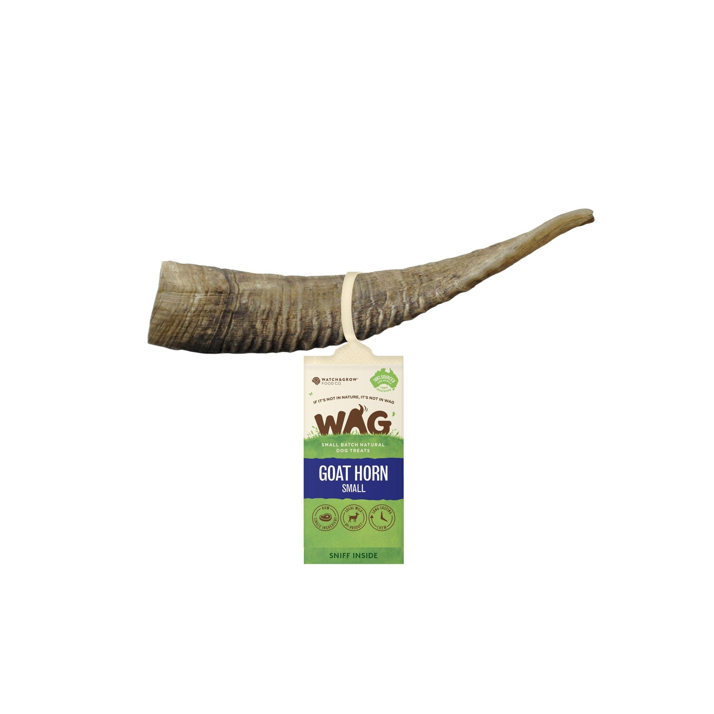 goat-horn-small-1