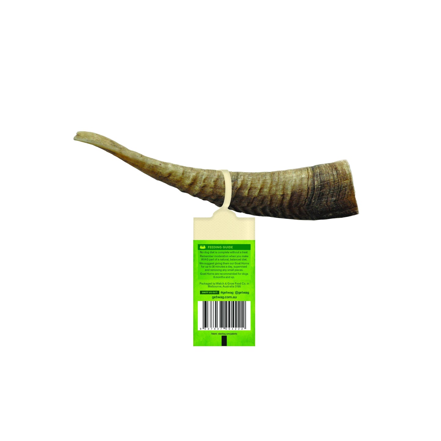 goat-horn-small-2