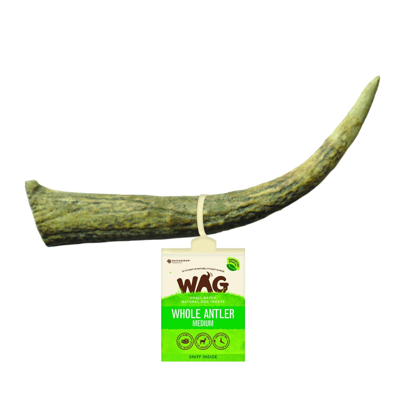 whole-medium-antler-1