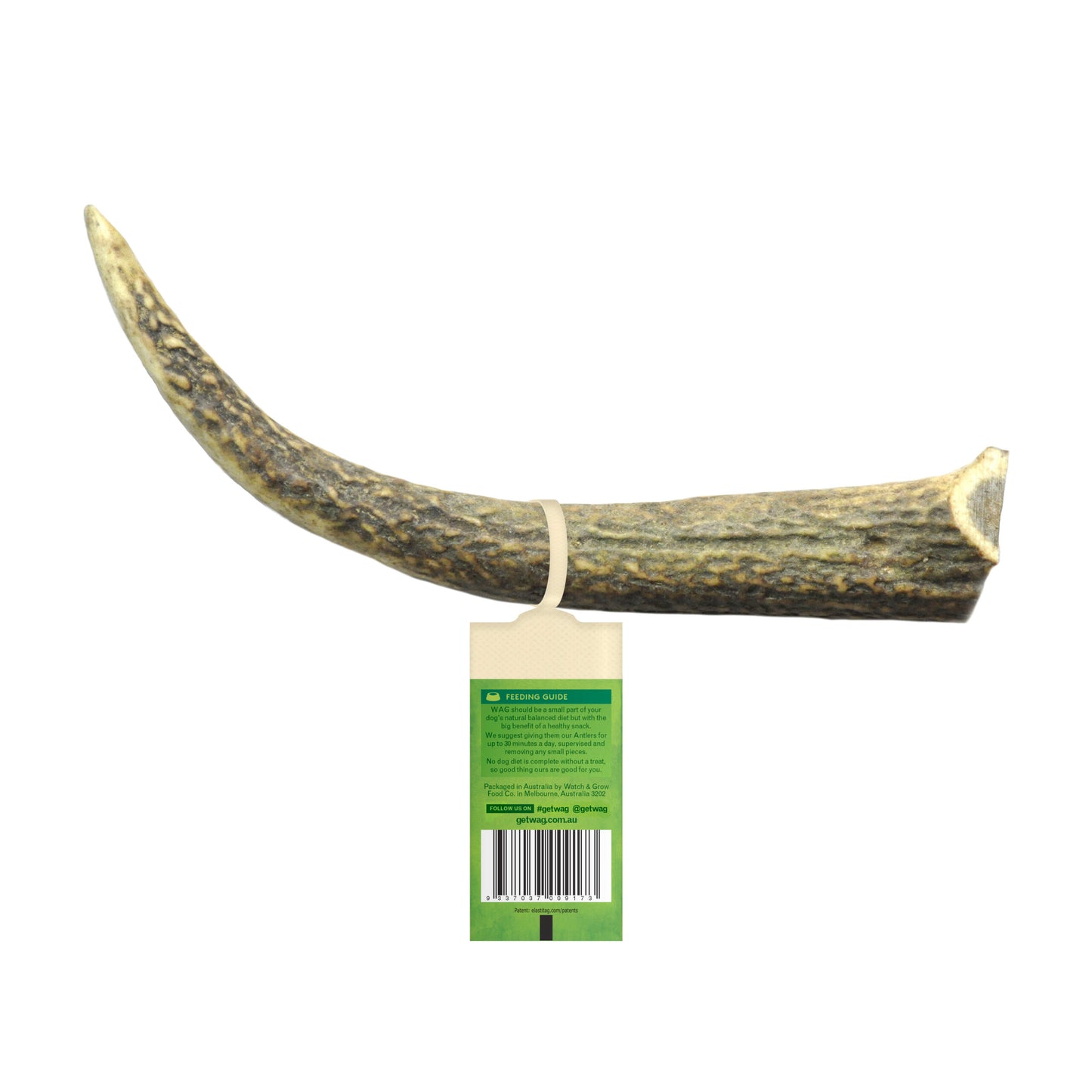 whole-medium-antler-2