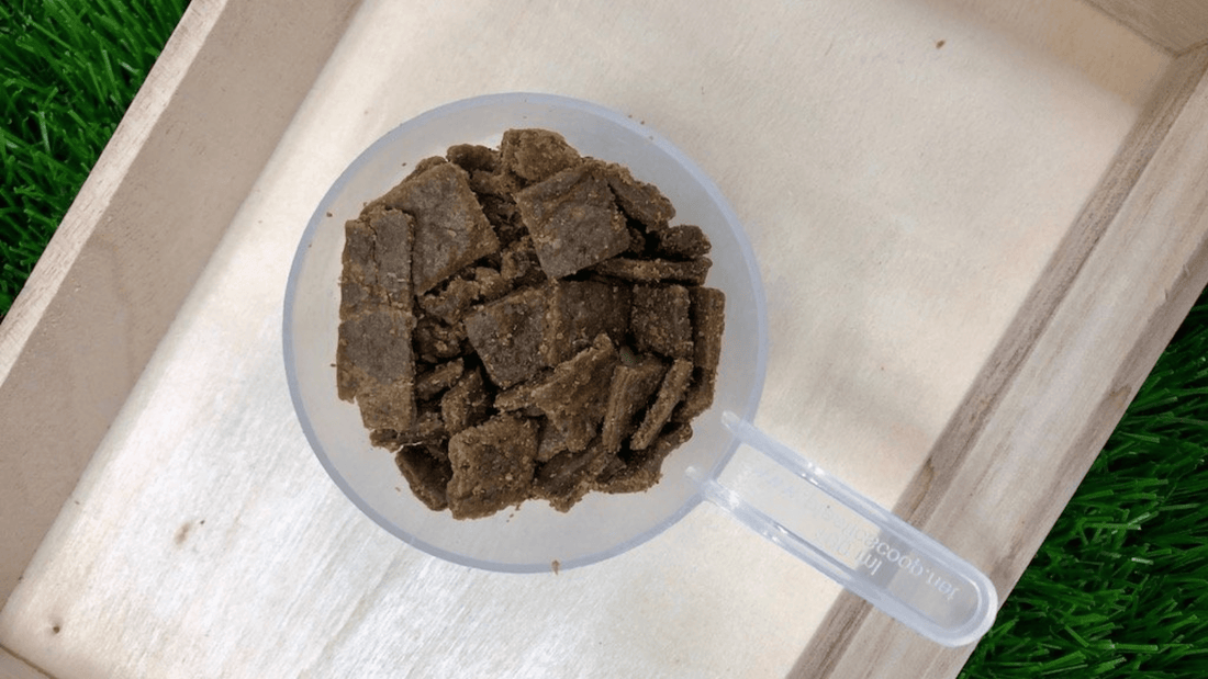 What Is Air-Dried Dog Food (And Is It Good For My Dog)?