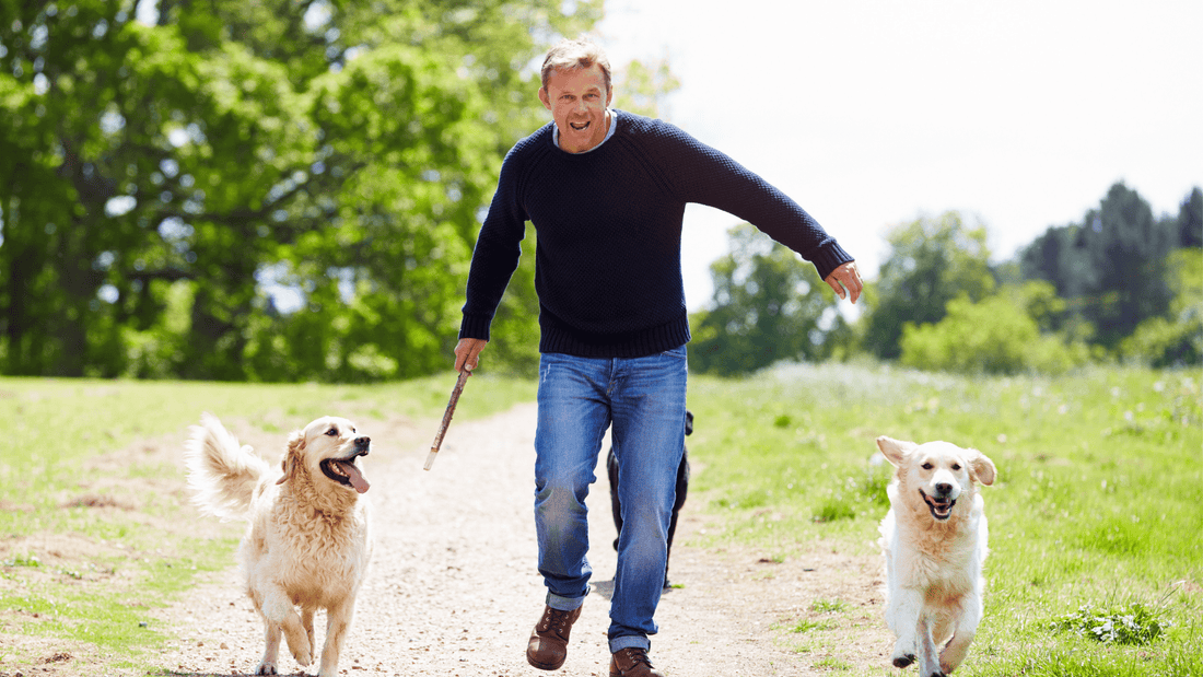 The Benefits Of Exercise For Dogs With Behavioral Problems...