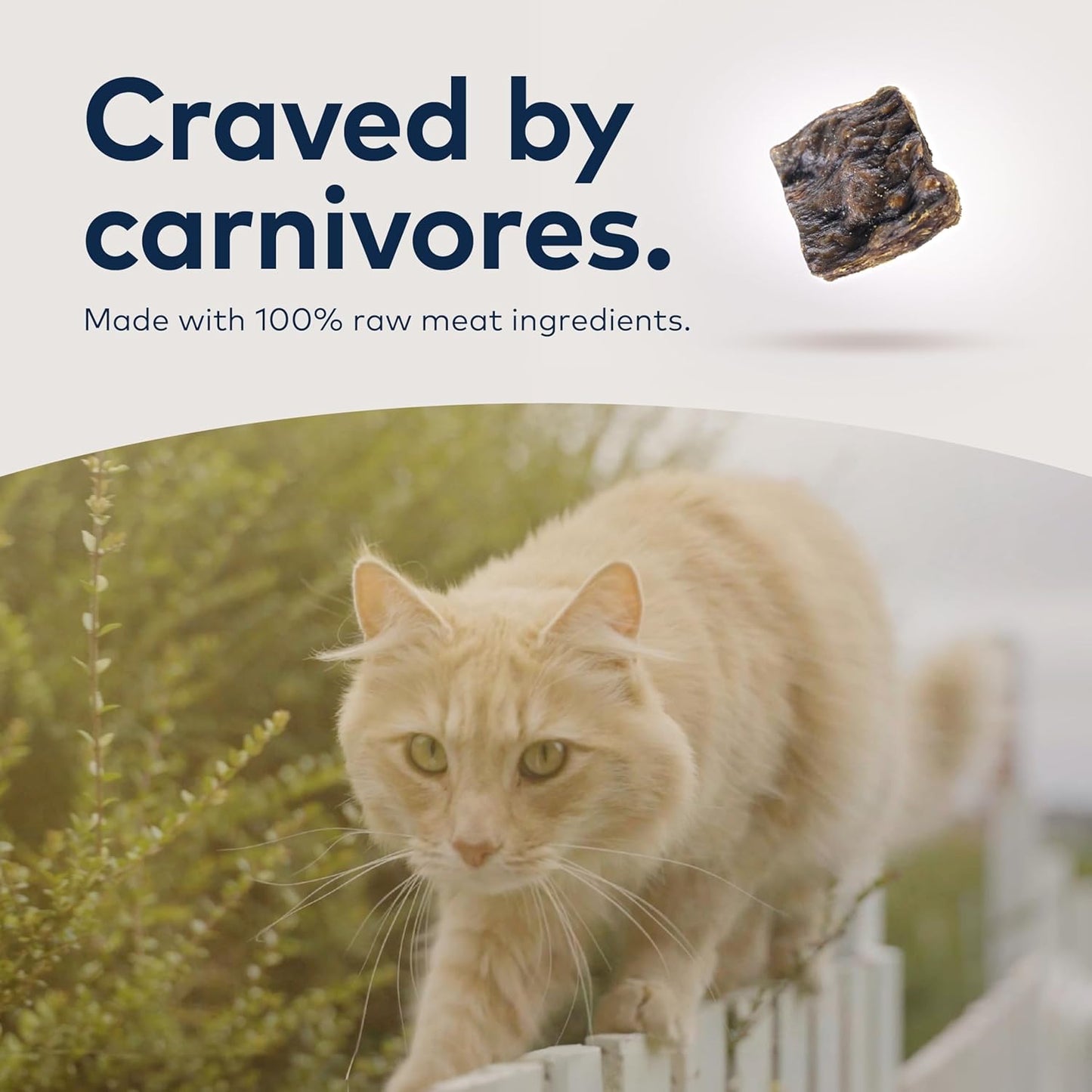 Ziwi Peak Air-Dried Venison Recipe Cat Food