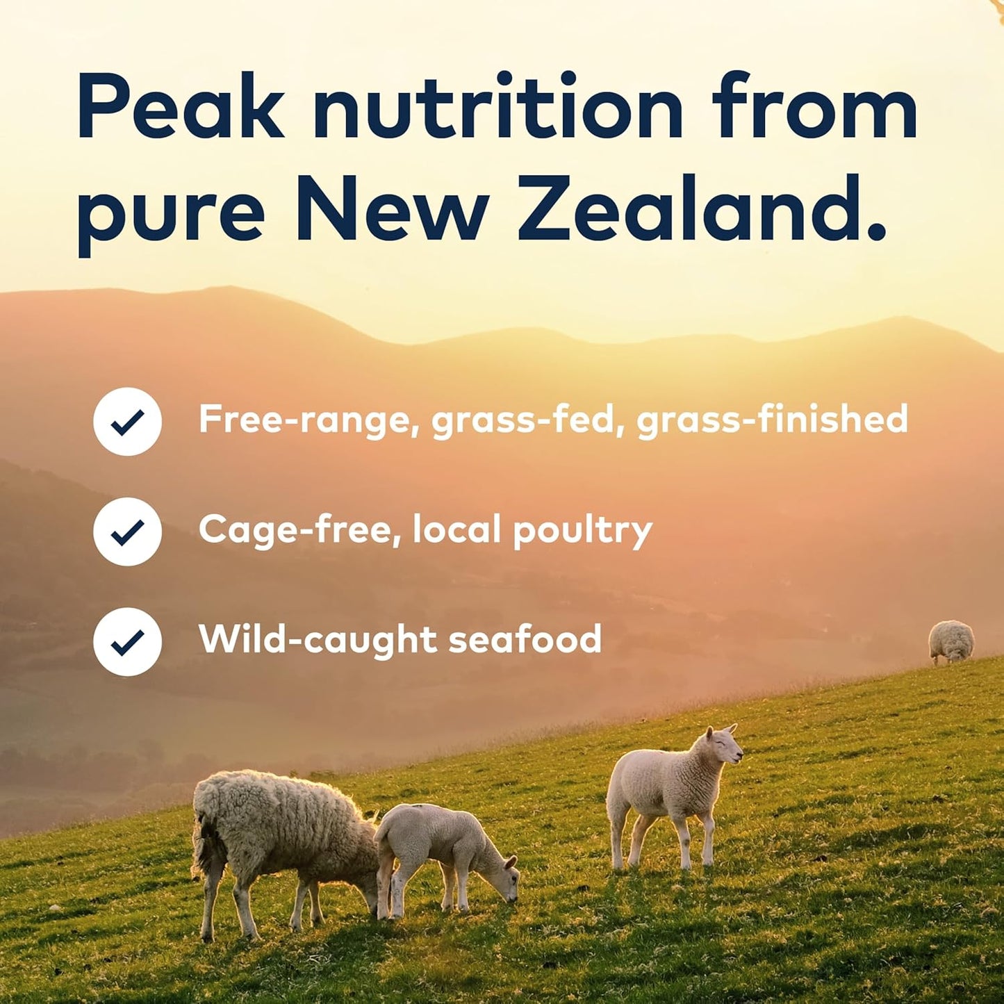 Ziwi Peak Air-Dried Venison Recipe Cat Food