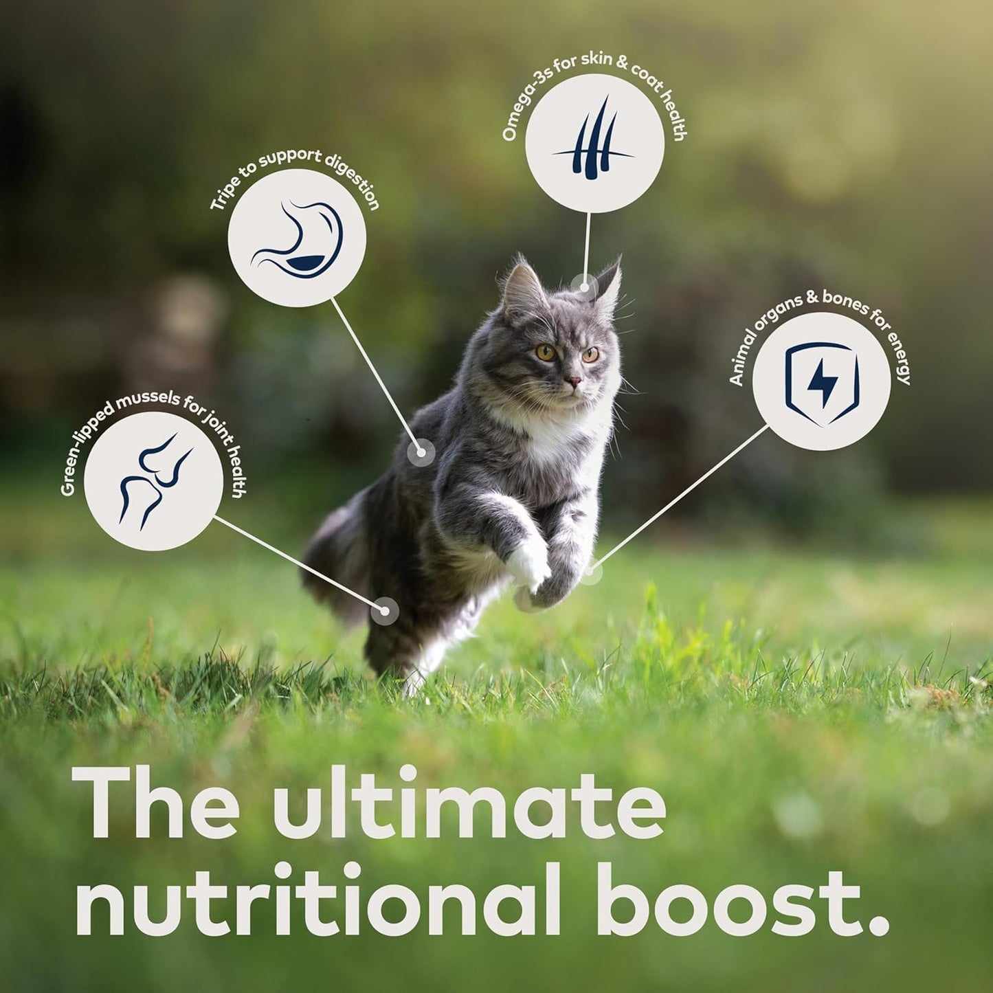 Ziwi Peak Air-Dried Venison Recipe Cat Food
