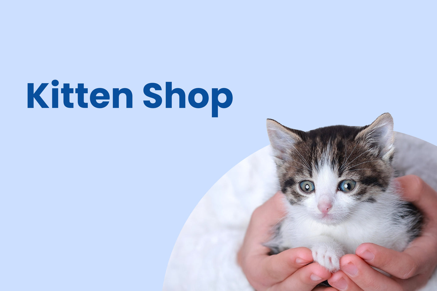 Cat Nutrition Supplements