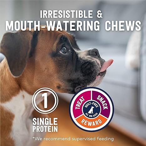 Ziwi Oral Health يمضغ لحم البقر المجفف بالهواء Weasand Dog