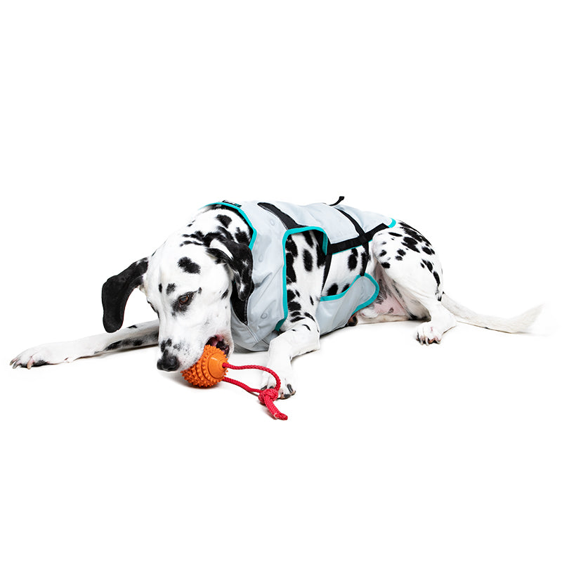 SUITICAL_PRODUCT_DRY COOLING VEST DOG_LARGE_SILVER_01_2021_V01