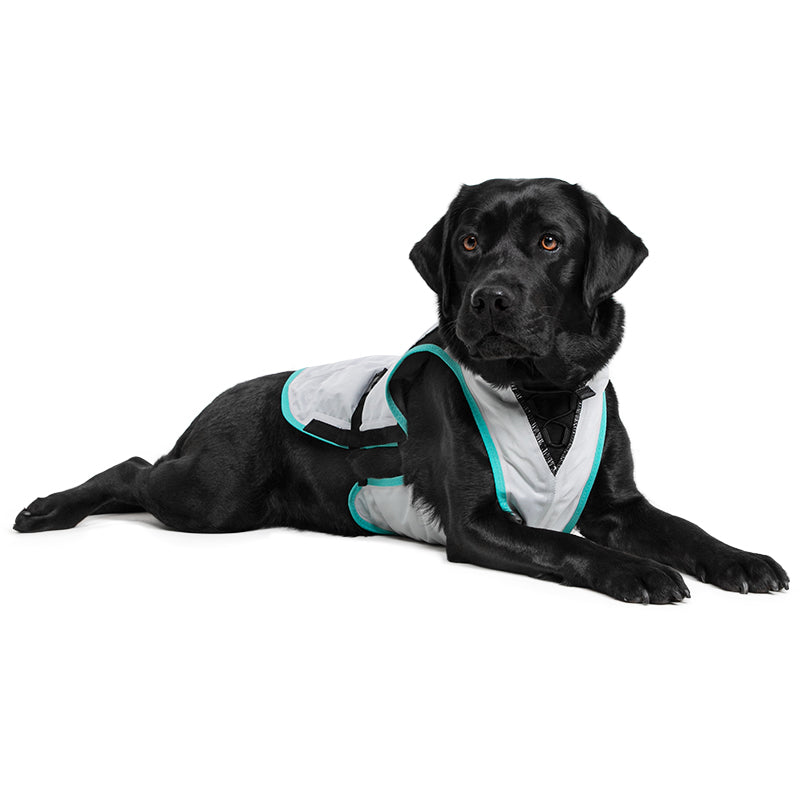 SUITICAL_PRODUCT_DRY COOLING VEST DOG_MEDIUM_SILVER_01_2021_V01
