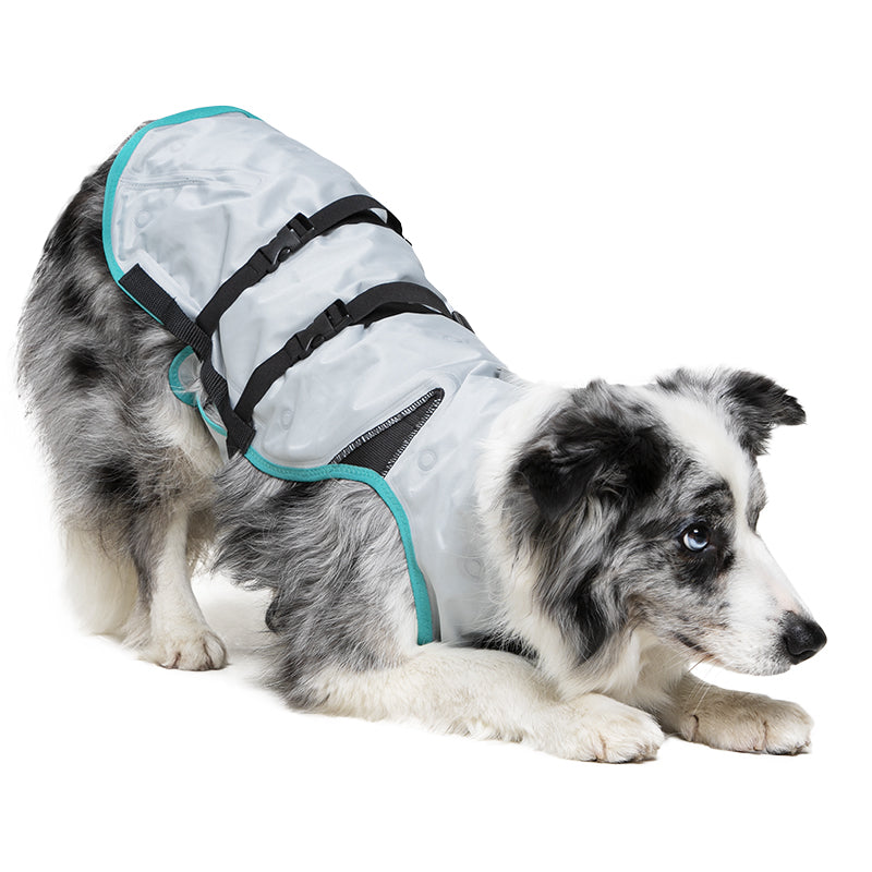 SUITICAL_PRODUCT_DRY COOLING VEST DOG_MEDIUM_SILVER_02_2021_V01