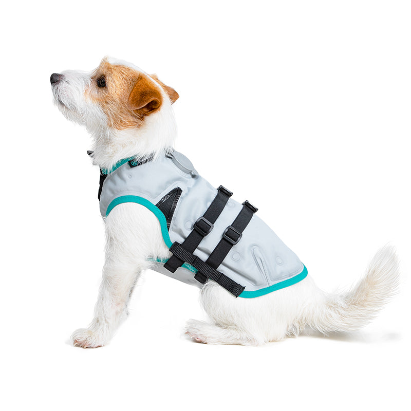 SUITICAL_PRODUCT_DRY COOLING VEST DOG_SMALL_SILVER_01_2021_V01