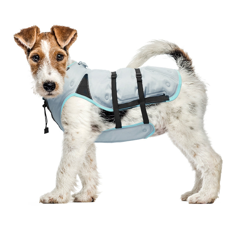 SUITICAL_PRODUCT_DRY COOLING VEST DOG_SMALL_SILVER_02_2021_V01