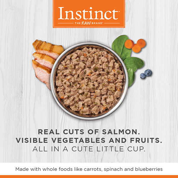 Thumbnails_Cups_Cat_Salmon_02