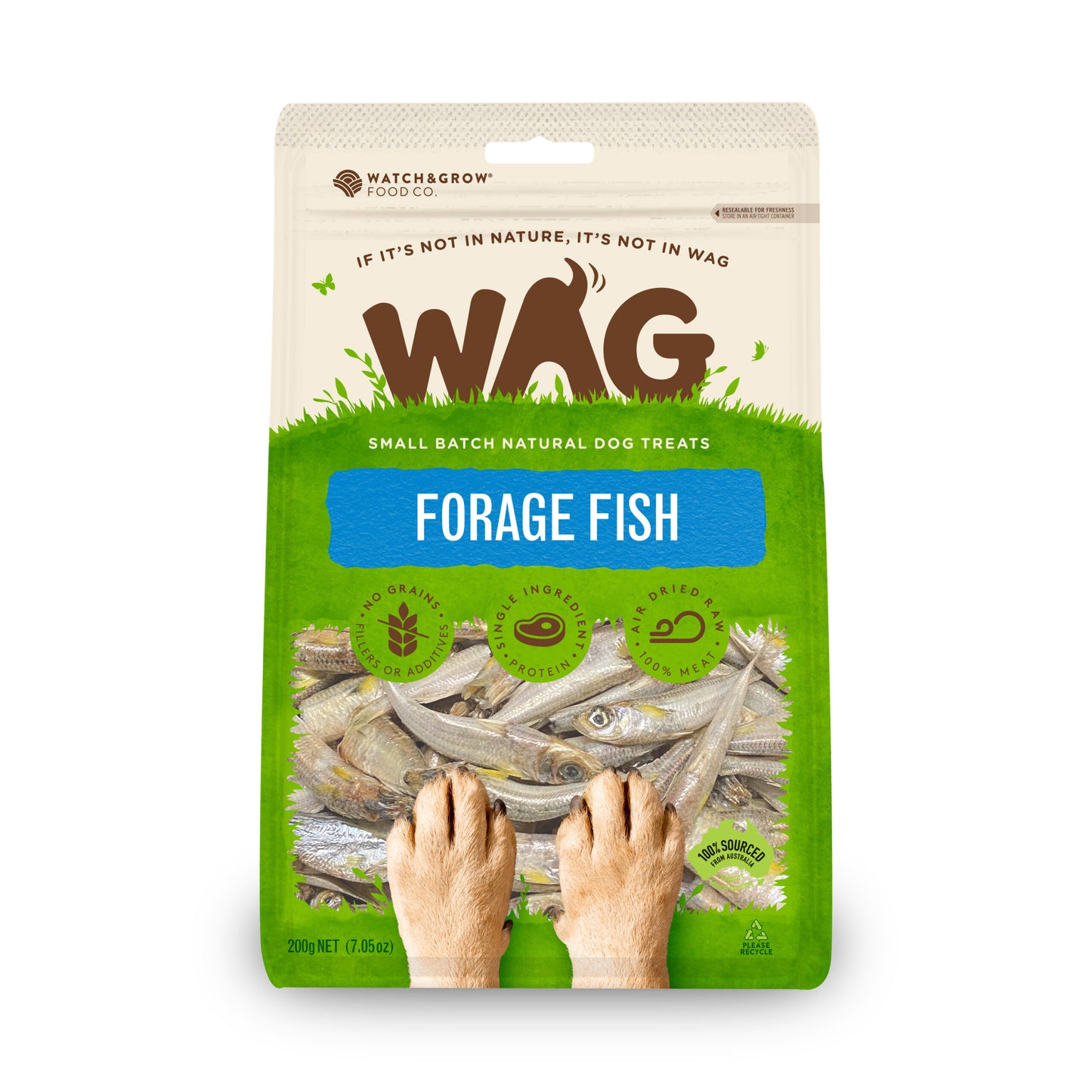 forage-fish-1