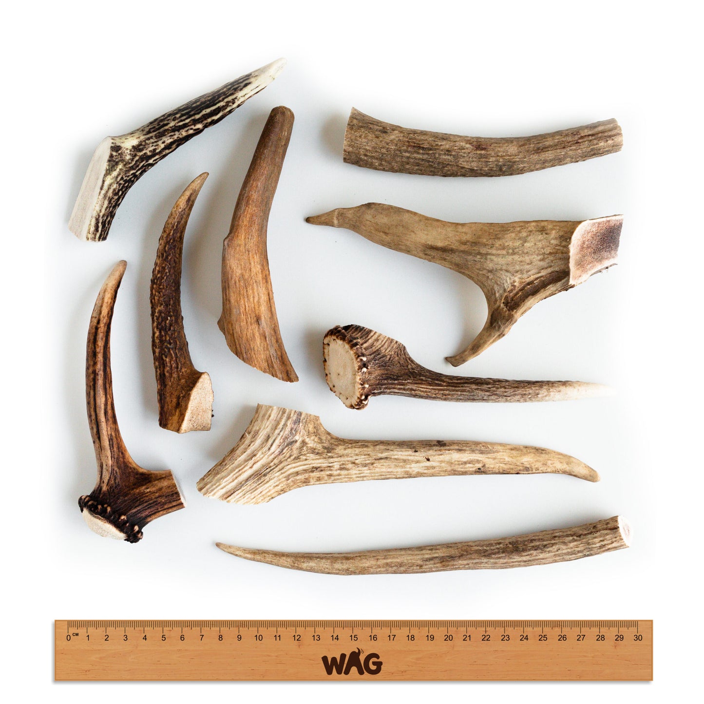 whole-small-antler